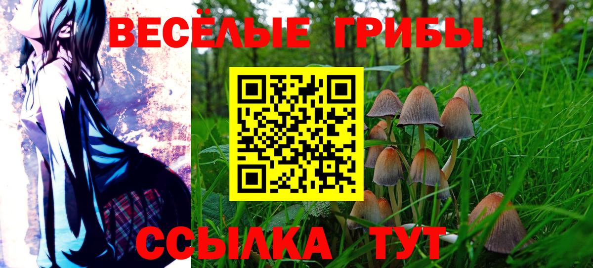 Псилоцибиновые грибы ЛСД Ликино-Дулёво