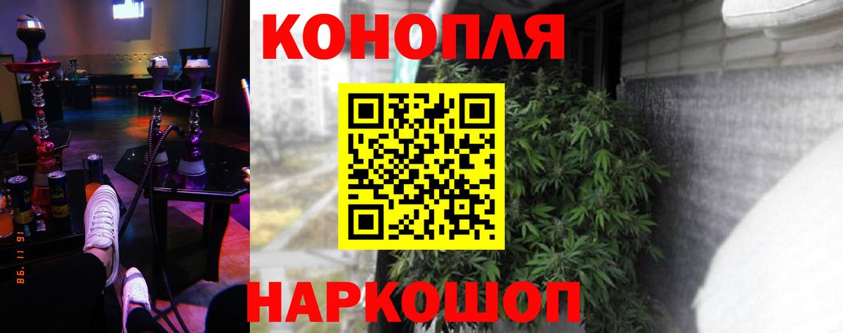 Ликино-Дулёво  Каннабис индика  Канабис конопля  Каннабис OG Kush  Вход с VPN 